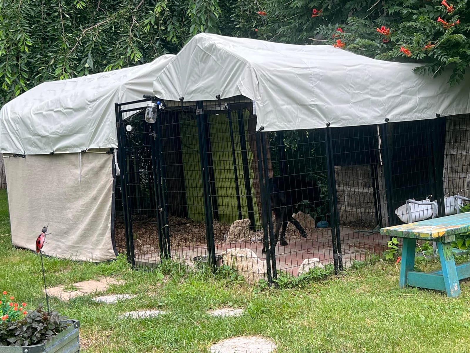 Outdoor Dog Kennel Cover 8' x 4' Replaceable Top Cover, Gray customer photo 2