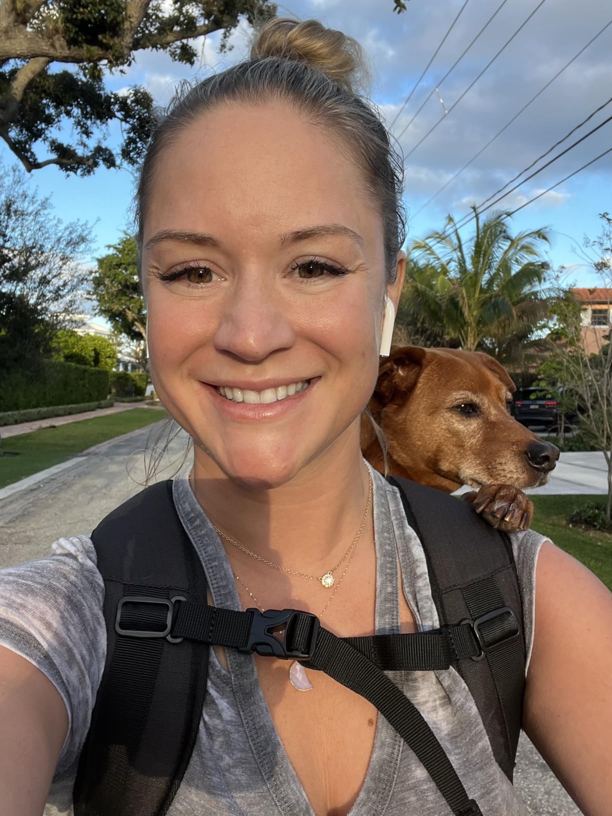 K9 Sport Sack Knavigate - X-Large, Dune customer photo 1