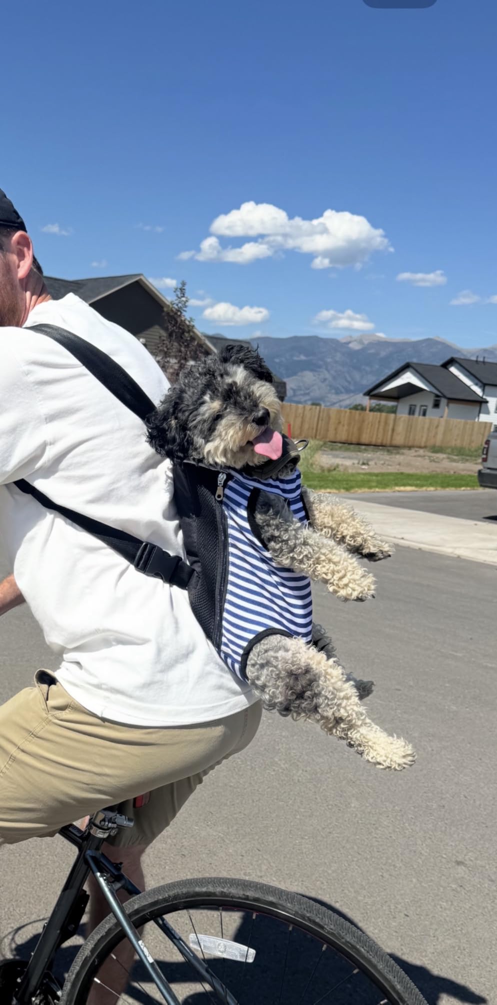 Pawaboo Pet Front Carrier Backpacks for Small Medium Dogs customer photo 1