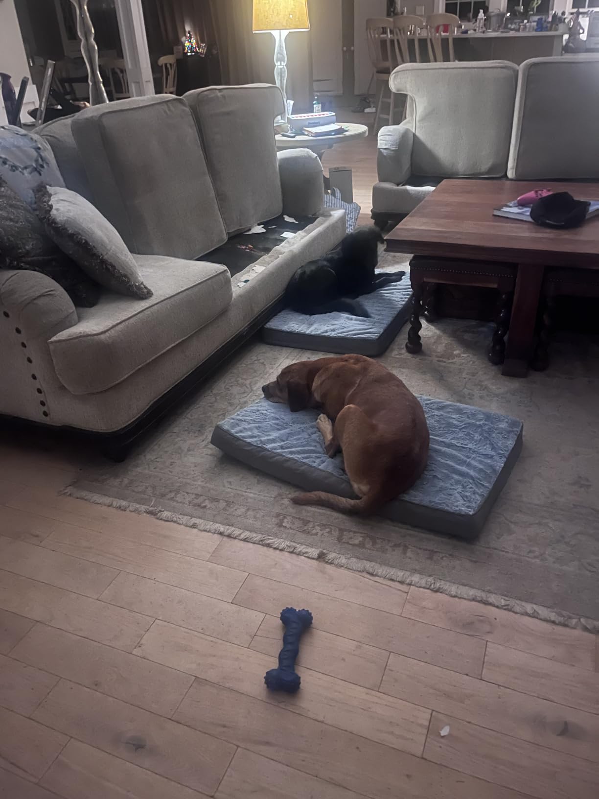 KSIIA Orthopedic Dog Bed for Large Dogs with Waterproof Lining, Black,35x22 customer photo 1