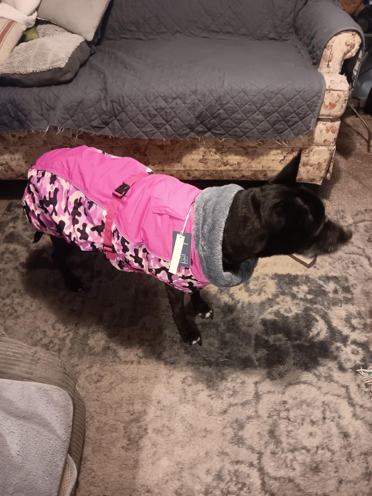IECOii Extra Warm Dog Jackets for Large Dogs, Insulated Thermal Fleece Vest for Winter, Waterproof Reflective XL Dog Coat with Fur Collar, Windproof Cold Weater Clothes with Leash Hole, Pink, XL customer photo 1