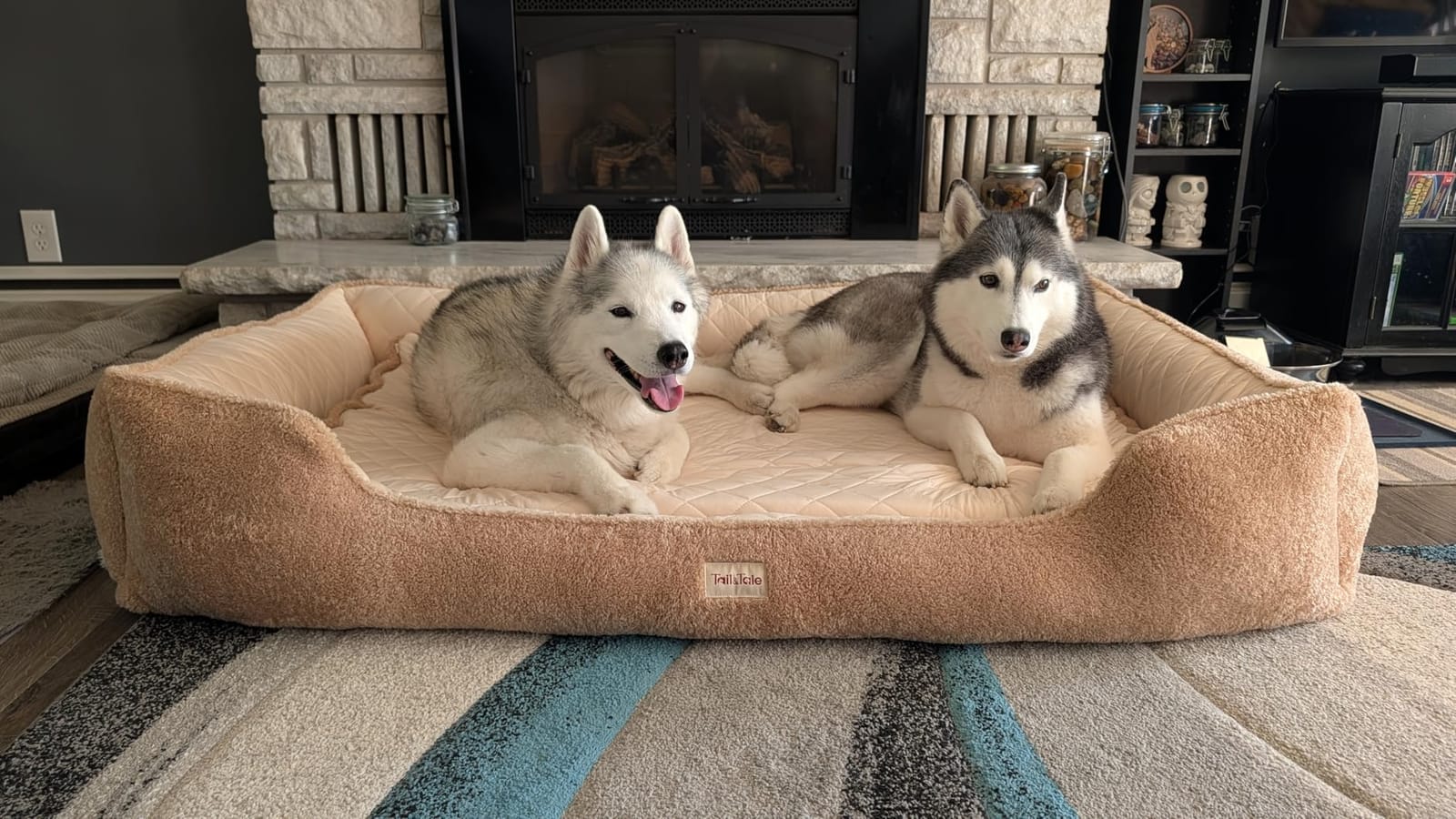Cooling Orthopedic Dog Bed for Small Dogs, Memory Foam with Washable Cover customer photo 1
