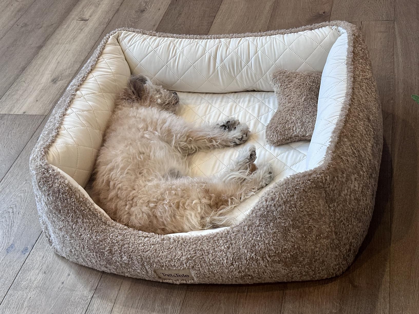 Cooling Orthopedic Dog Bed for Small Dogs, Memory Foam with Washable Cover customer photo 2