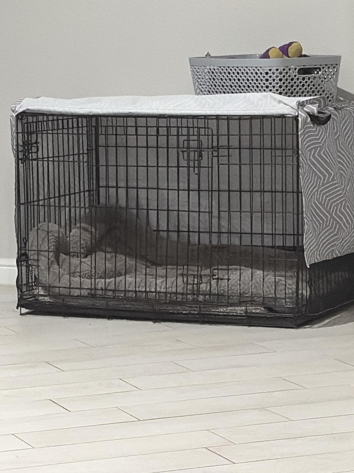 Explore Land Breathable Dog Crate Cover, 24 inches (Black) customer photo 1