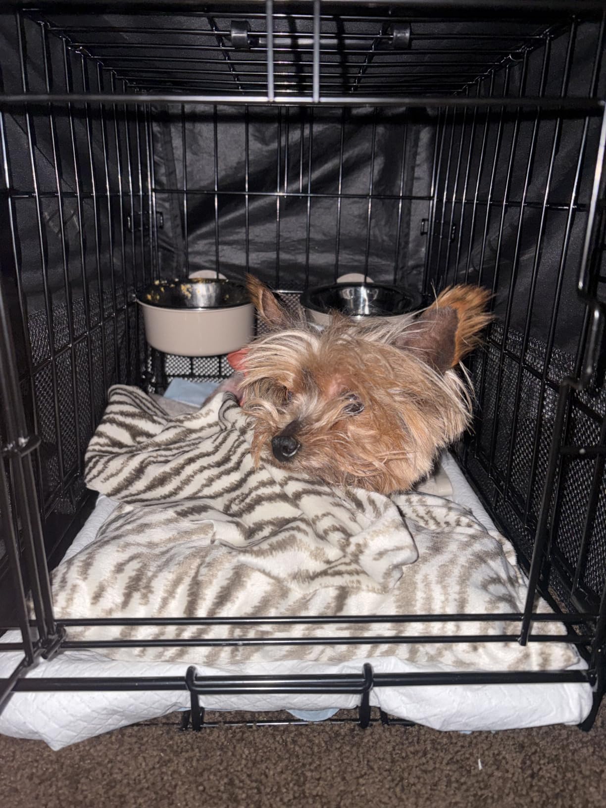 Explore Land Breathable Dog Crate Cover, 24 inches (Black) customer photo 2