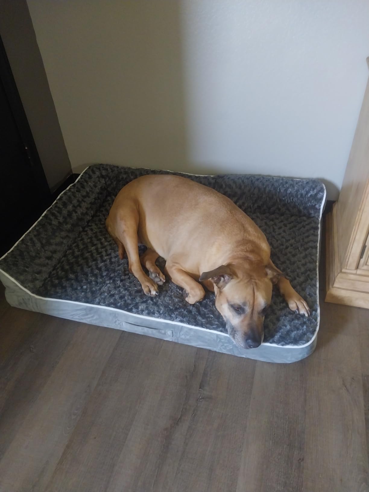 XL Orthopedic Dog Bed for Large Sized Dogs, 42