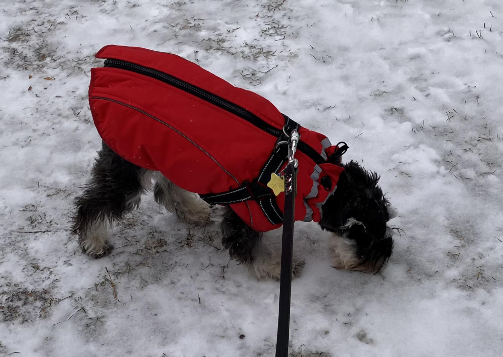 Fragralley Dog Coat with Harness Built in, Waterproof Warm Jacket Vest customer photo 2