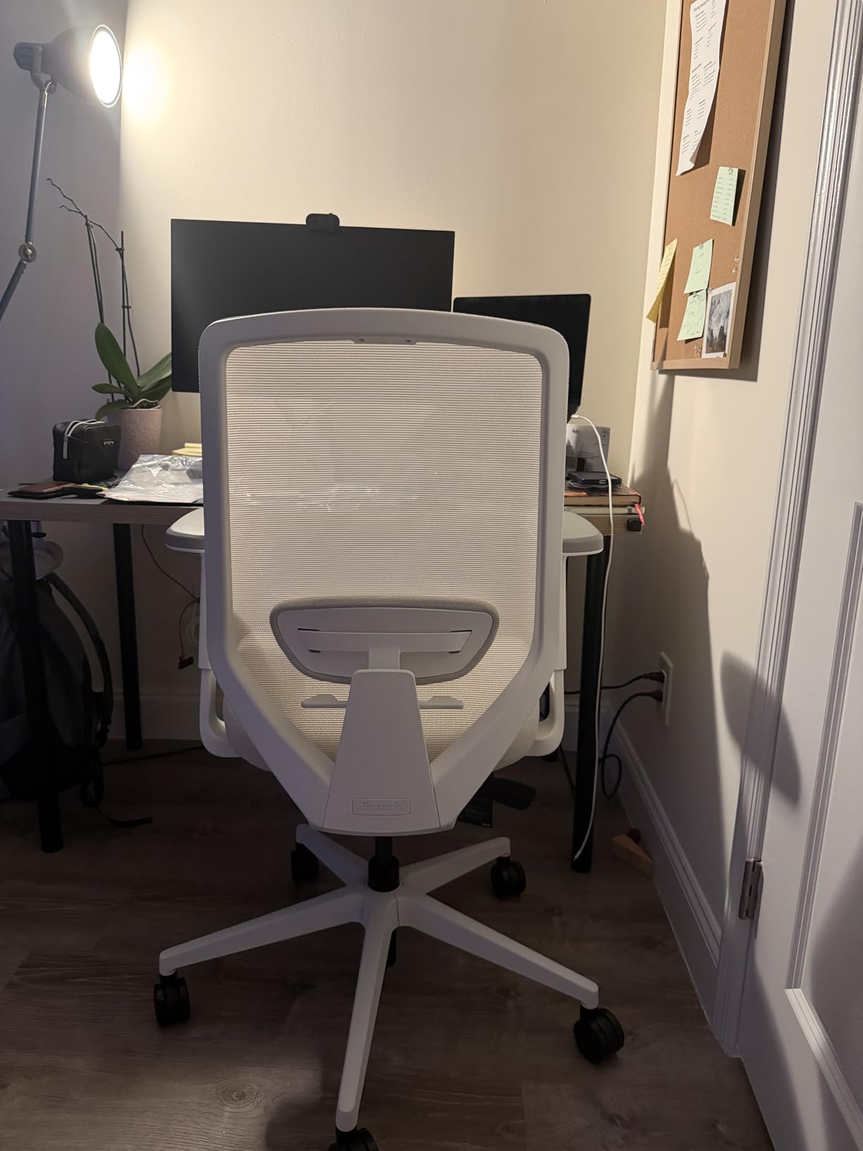 Branch Ergonomic Chair Pro, Mesh Office Chair with 14 Points of Adjustment customer photo 1