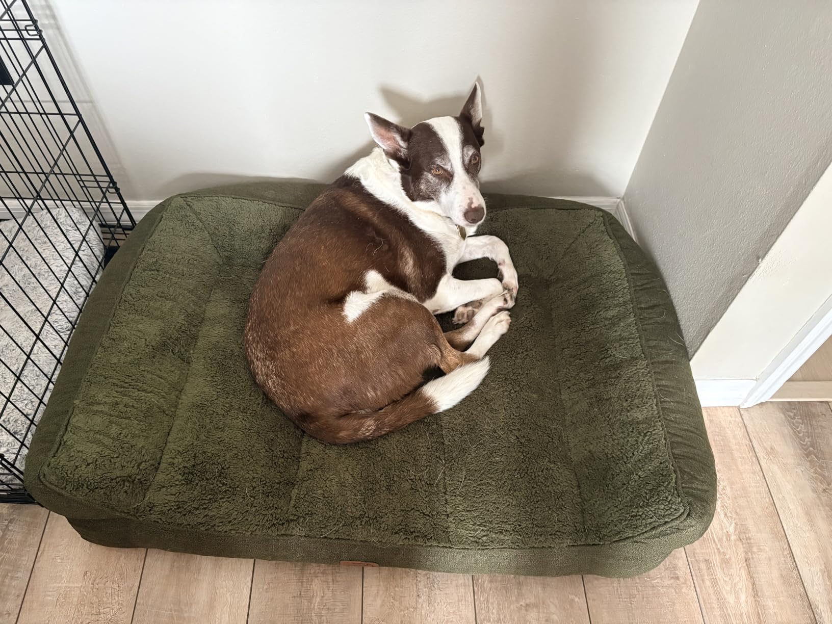 Bedsure SupportMax™ Extra Thick Orthopedic XL Dog Bed for Extra Large Dogs | 45