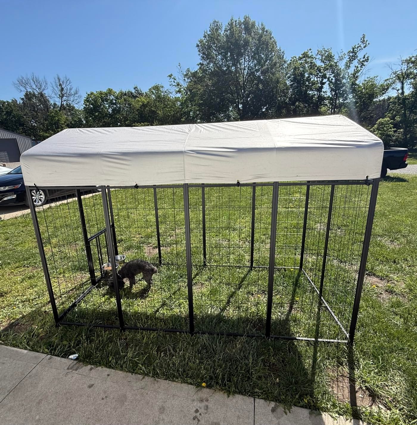ROOMTEC Large Dog Kennel Outdoor Pet Pens Dogs Run with 4 Bowls (10' L x 10' W x 6.5'H) customer photo 1