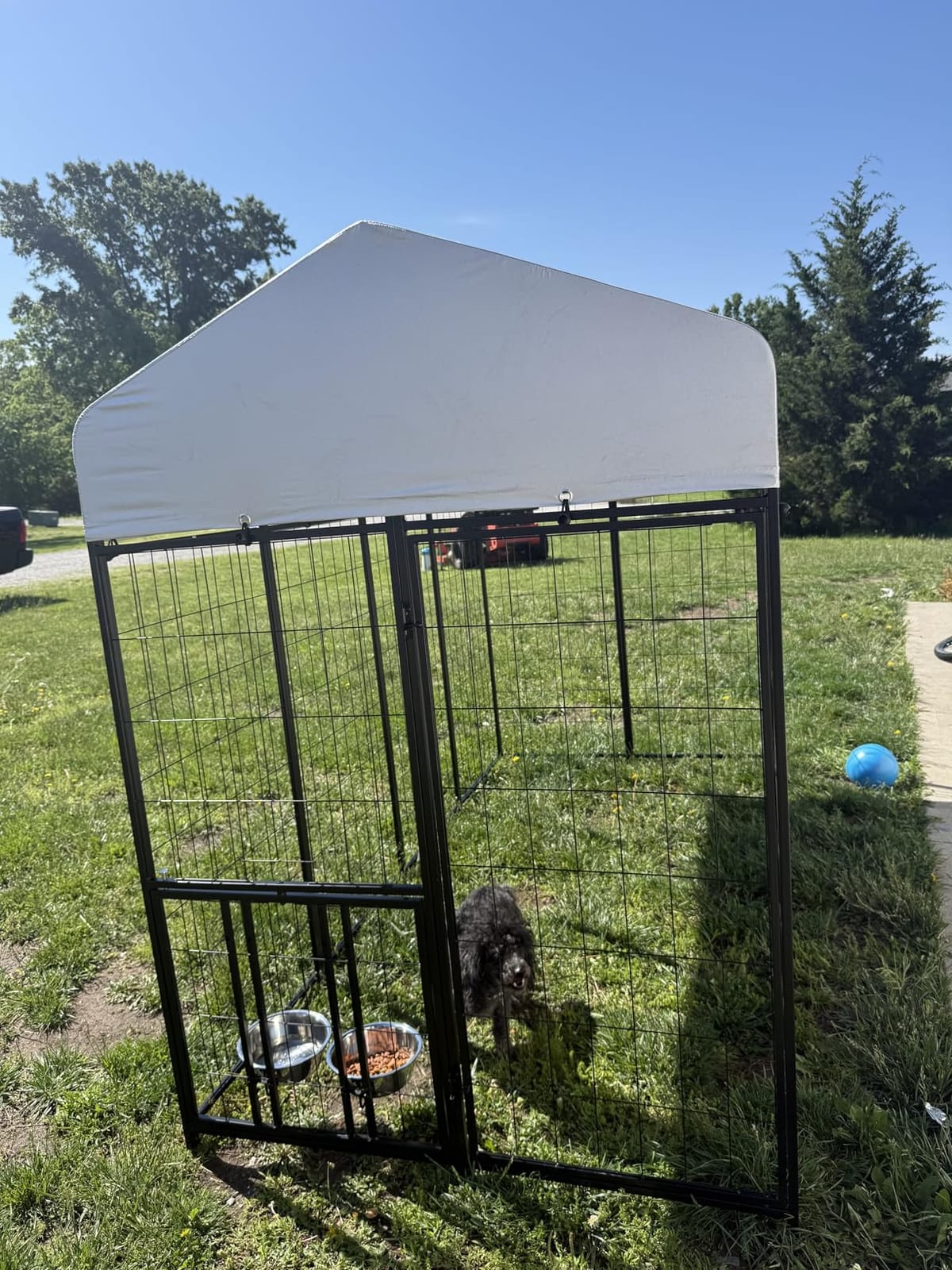 ROOMTEC Large Dog Kennel Outdoor Pet Pens Dogs Run with 4 Bowls (10' L x 10' W x 6.5'H) customer photo 2