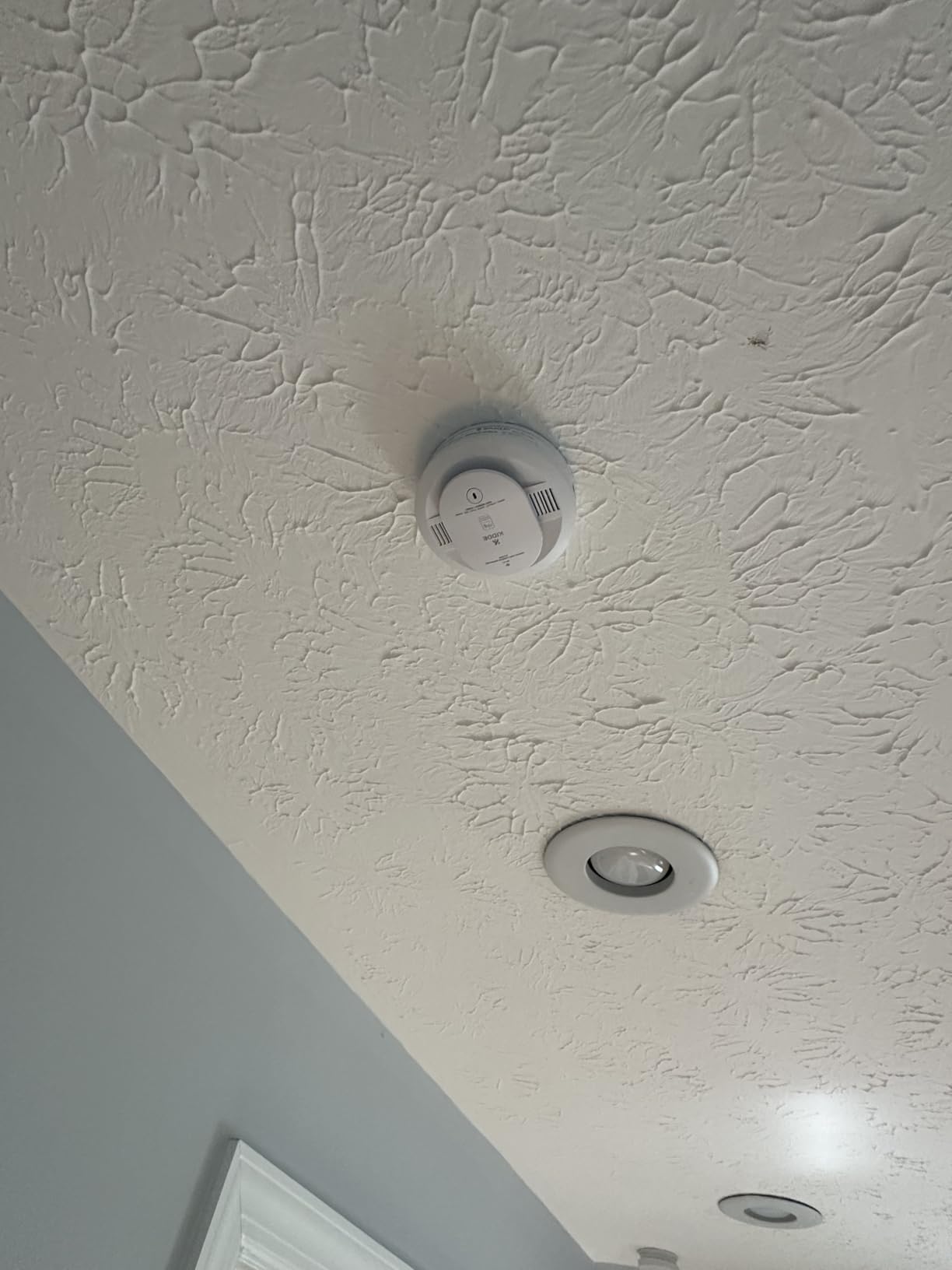 Kidde Smart Smoke & CO Detector with Ring, AA Battery, RGCUDR-RW customer photo 1