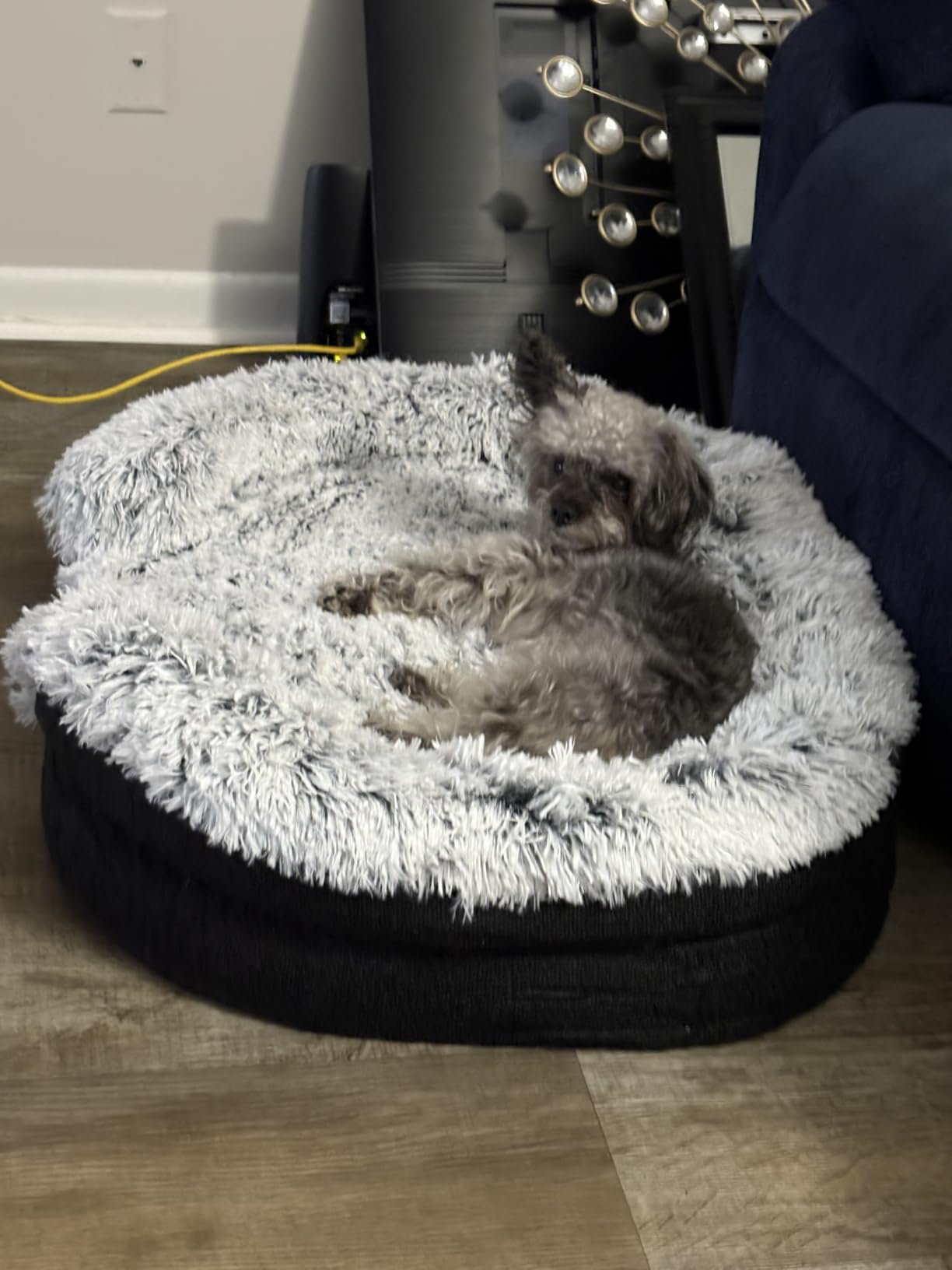 Miorun Fluffy Orthopedic Dog Beds Large Sized Dog, 36