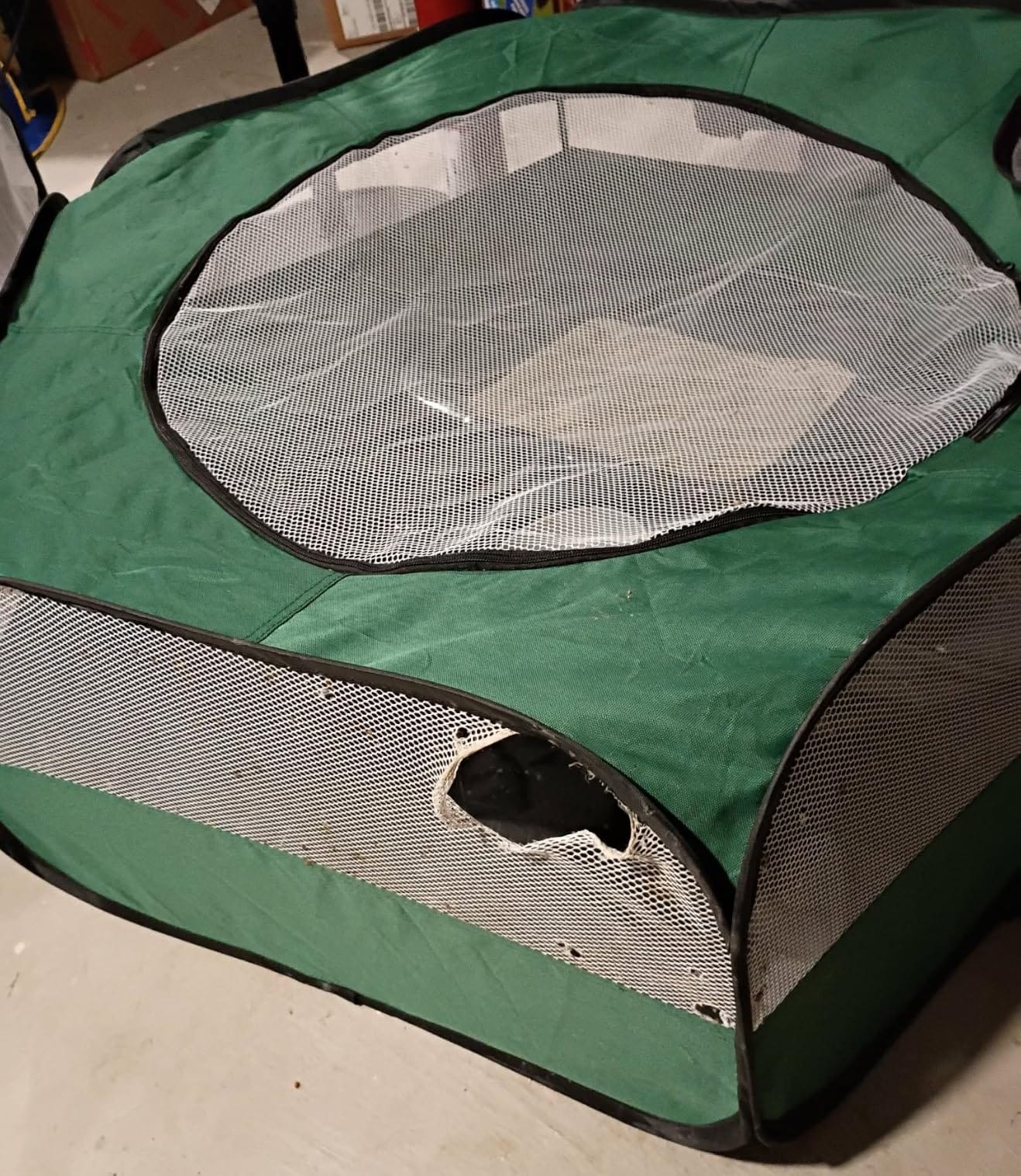 Small Animal Playpen with Mesh Cover & Waterproof Bottom Cat Tent Chicken Brooder Rabbit Guinea Pig Cage Playpen for Small Animals Indoor Outdoor Use customer photo 2