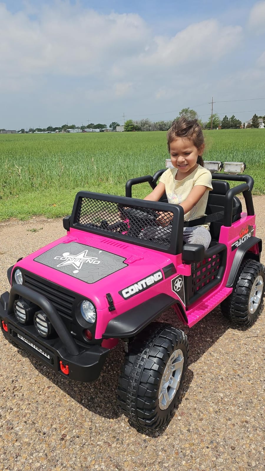 SEHOMY 24V Pink Ride on Dump Truck - Remote Control, 2 Seater Electric car customer photo 2