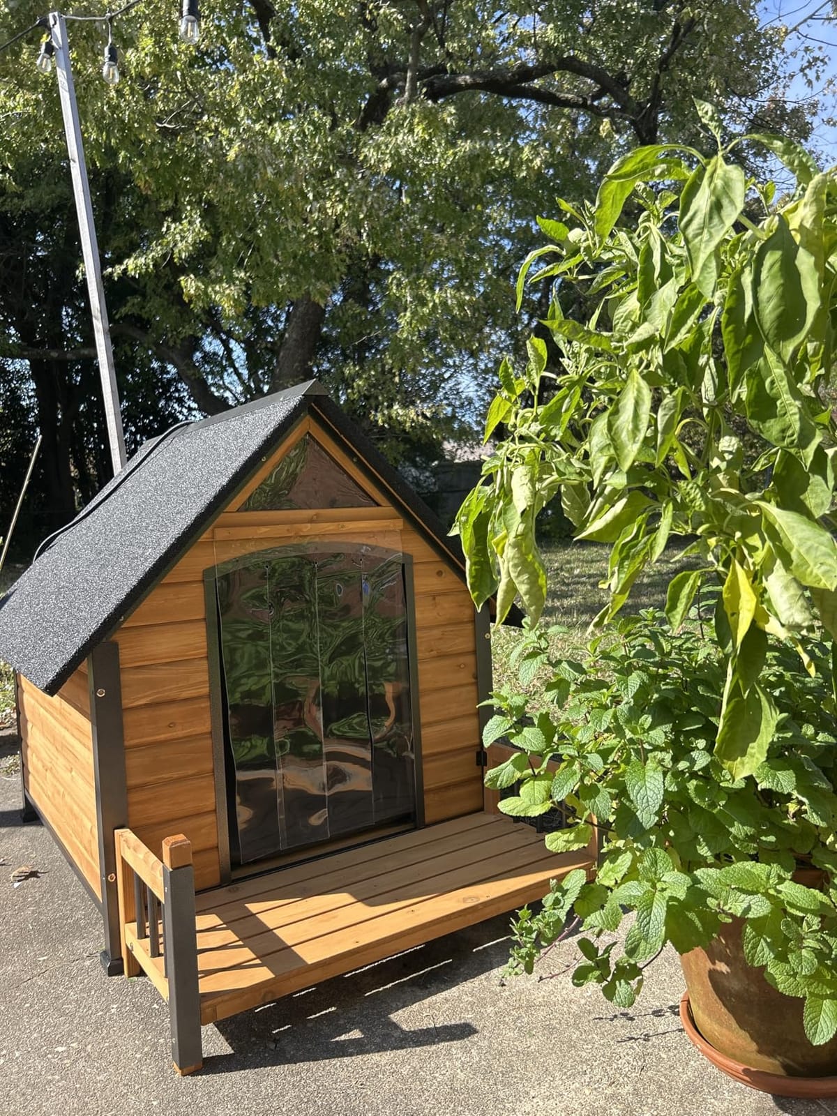 Aivituvin Heated Dog House Outdoor 45