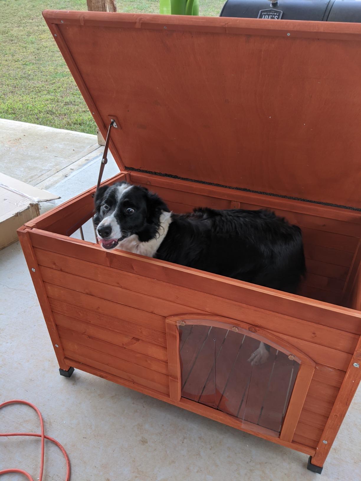 Heated Dog House for Outside, Outdoor Indoor Dog House for Small Medium Dog customer photo 1