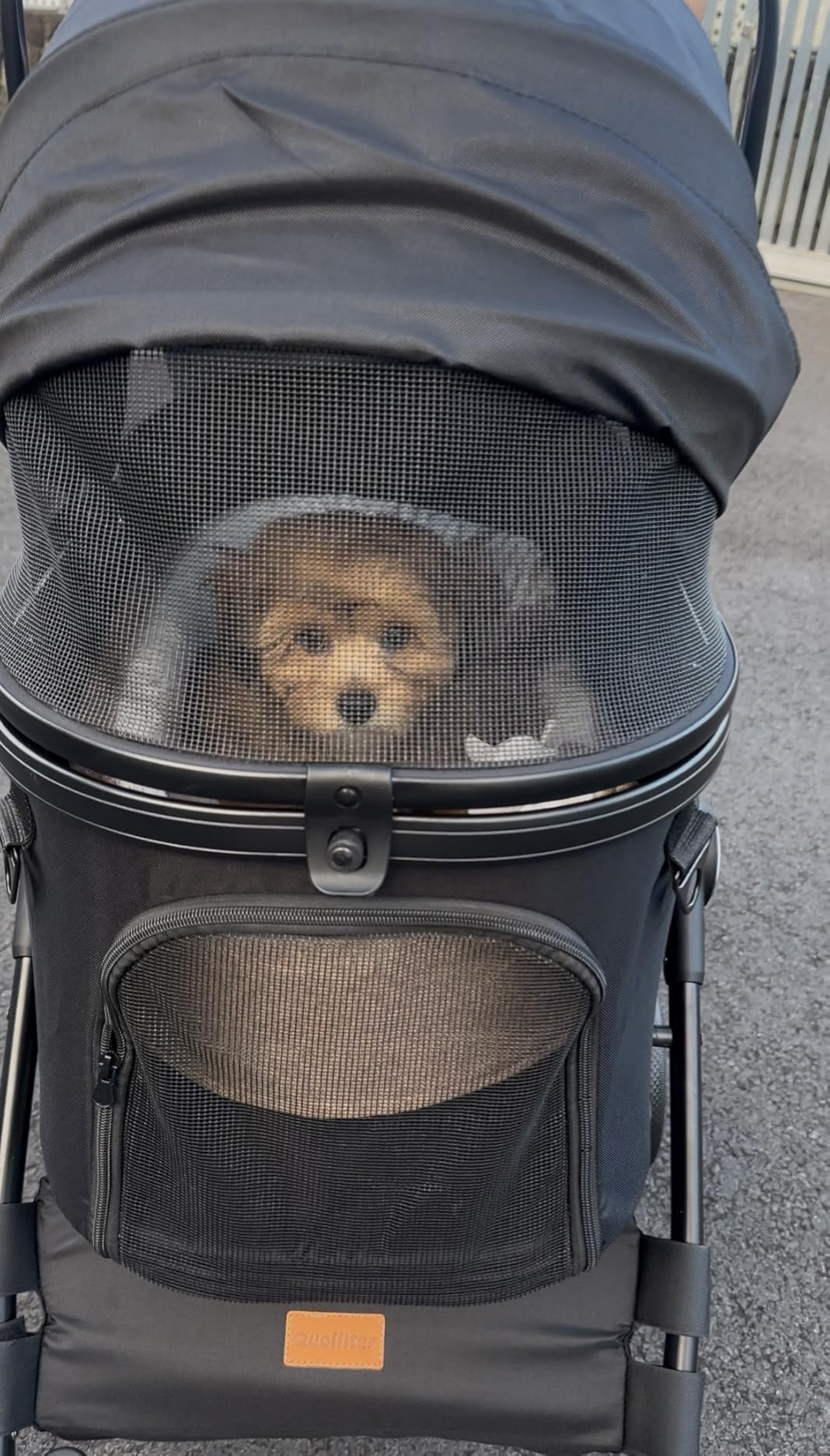 Dog Stroller for Large & Medium Dogs, up to 130 lbs Pet Stroller customer photo 1
