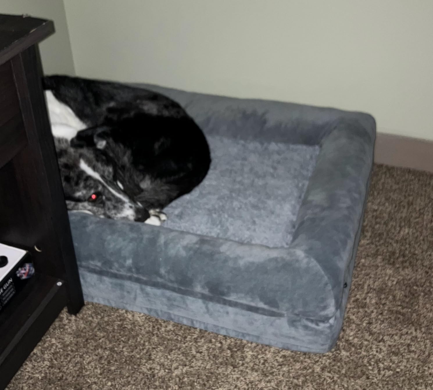 Waterproof Orthopedic Dog Bed for Extra Large Sized Dogs customer photo 1