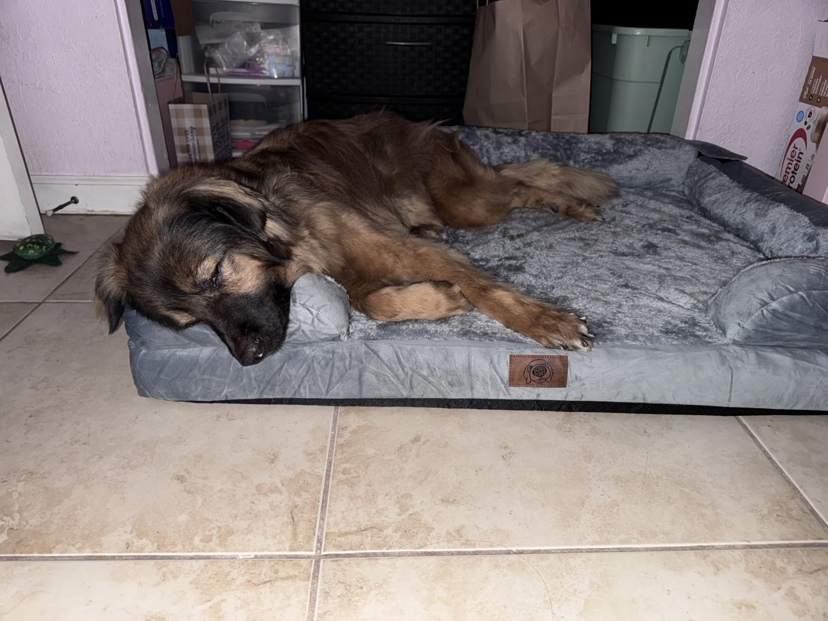 Waterproof Orthopedic Dog Bed for Extra Large Sized Dogs customer photo 2