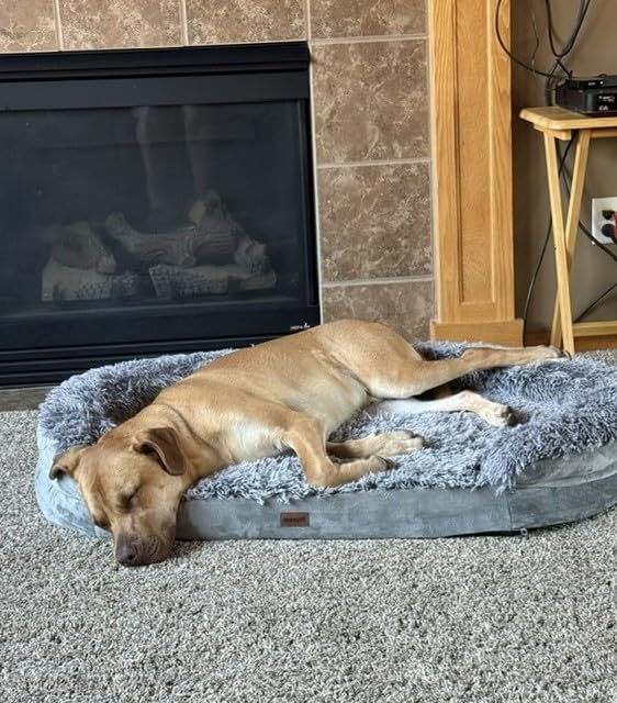 iweepet Fluffy Orthopedic Dog Beds for Large & Extra Large Dogs, 44