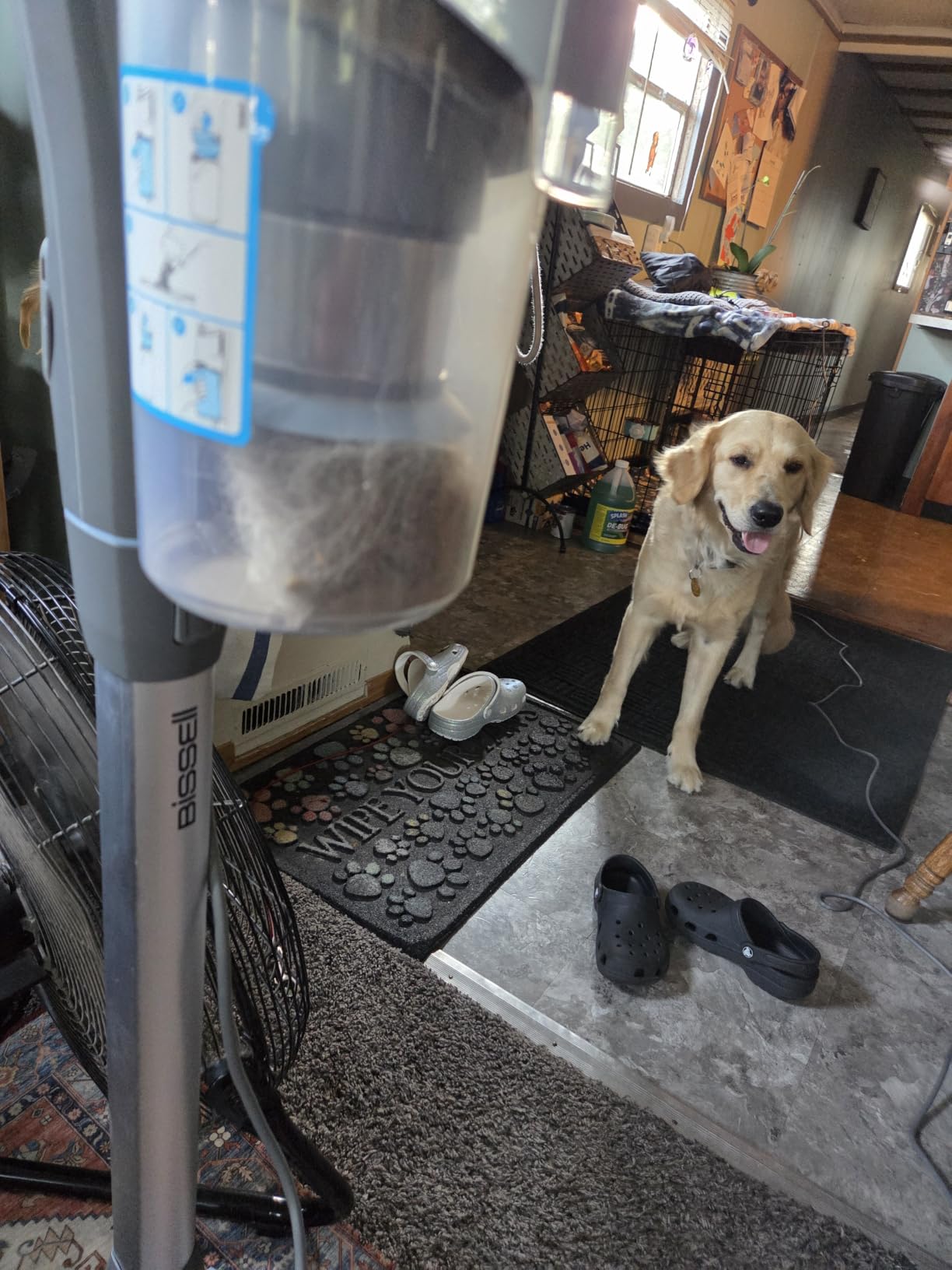 Bissell PowerClean FurFinder Corded Stick Vacuum, HEPA, 4282K customer photo 1