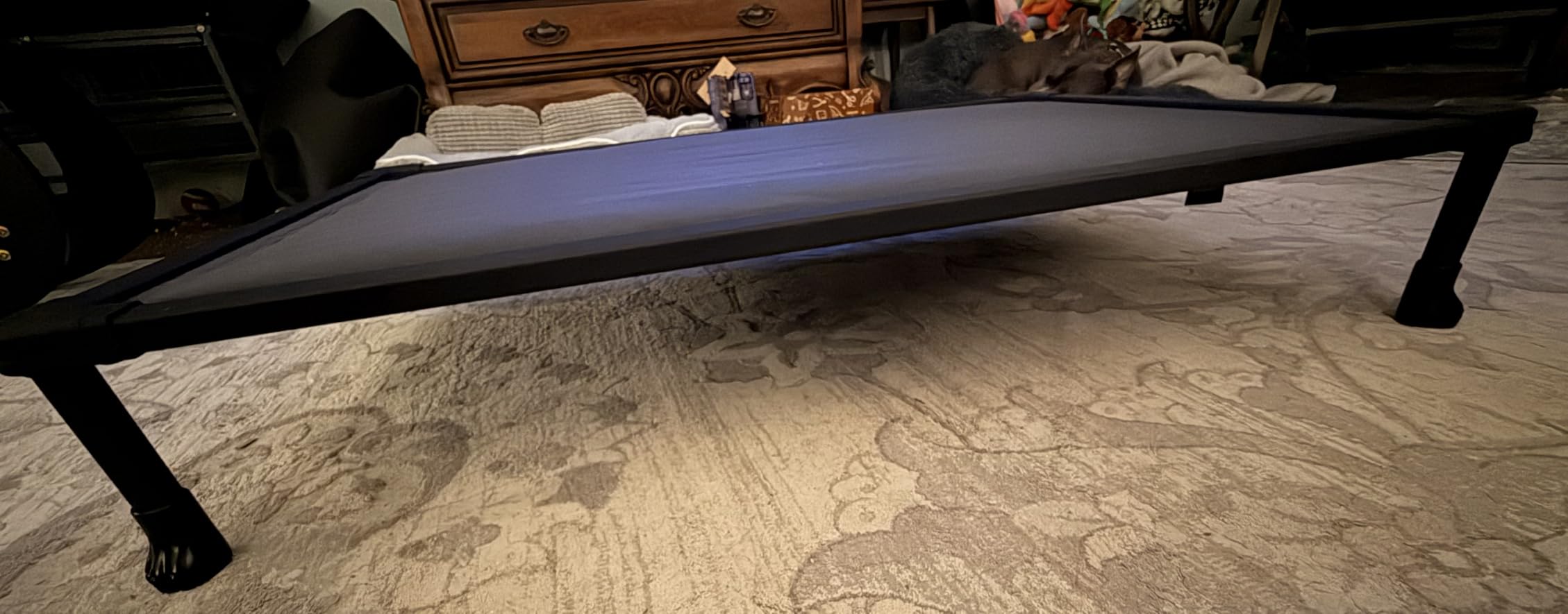 Veehoo Chew Proof Dog Bed, Orthopedic Elevated Dog Bed with Padded Cover customer photo 1
