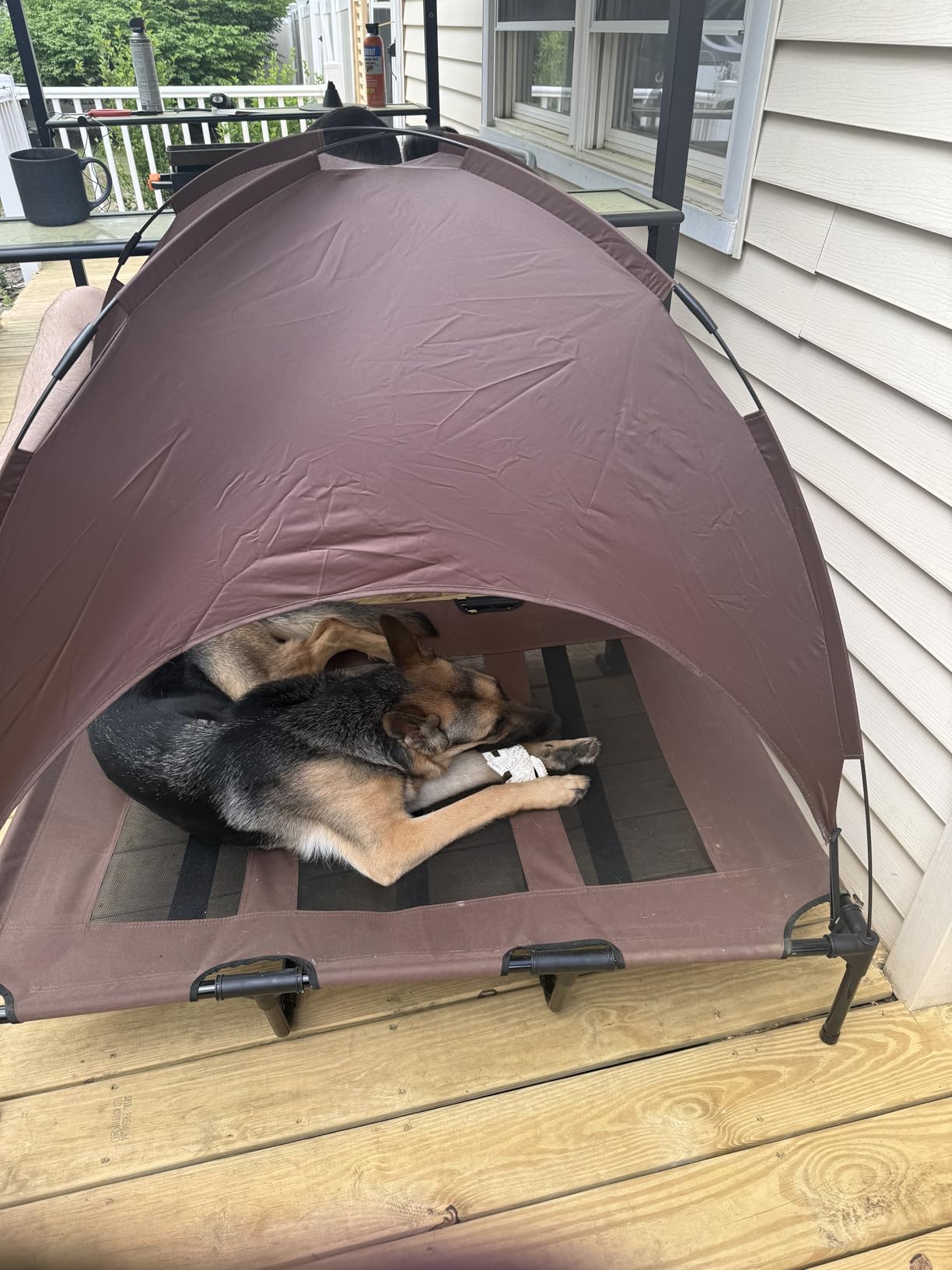 PawHut Elevated Dog Bed with Removable Canopy, Outdoor Dog Cot with UV Protection Canopy Shade, 30 inch Pet Bed for Camping, Dark Blue customer photo 2