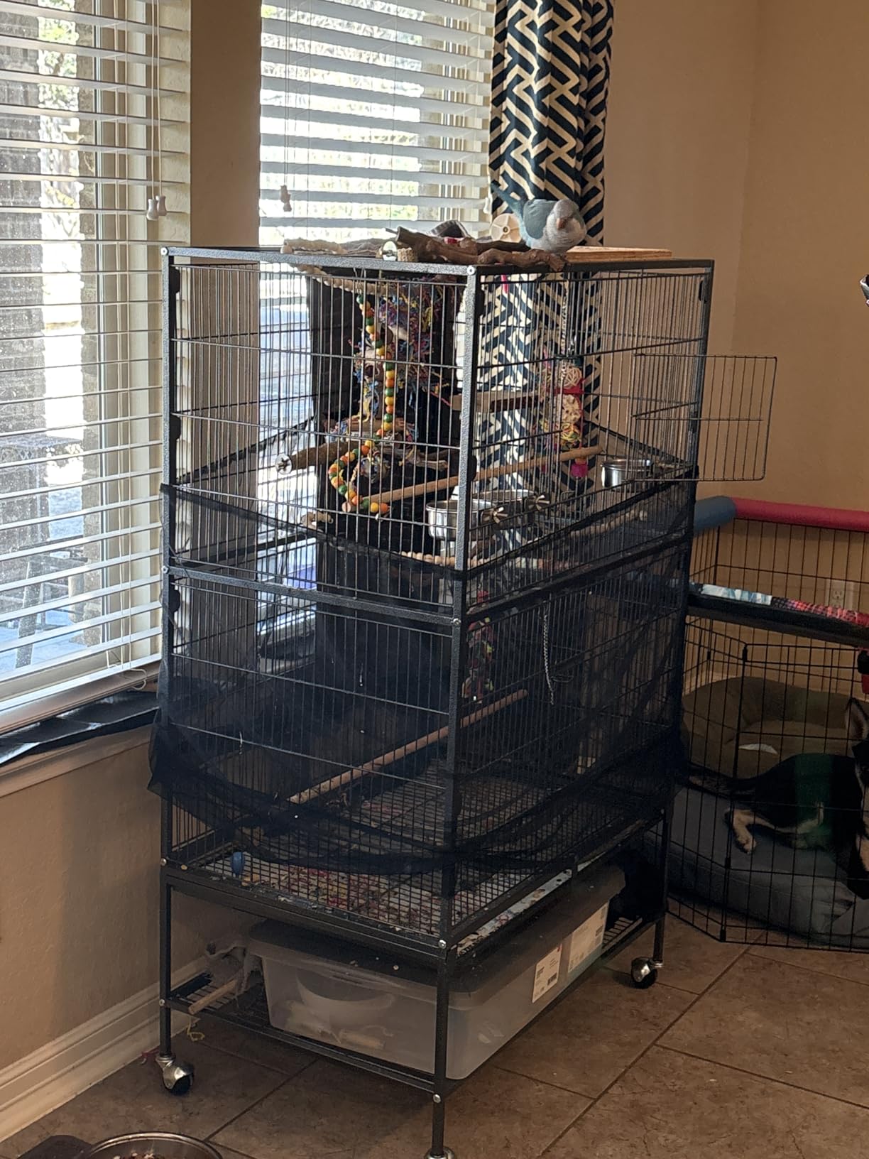 VEVOR Bird Cage, 32.7 x 31.1 x 82.7 inch, Open Flat Top, Wrought Iron Bird Flight Cage with Perches, Slide-Out Tray, Plastic Feeders, for Cockatiel, Monk Parakeet, Amazon Parrot, African Grey Parrot customer photo 2