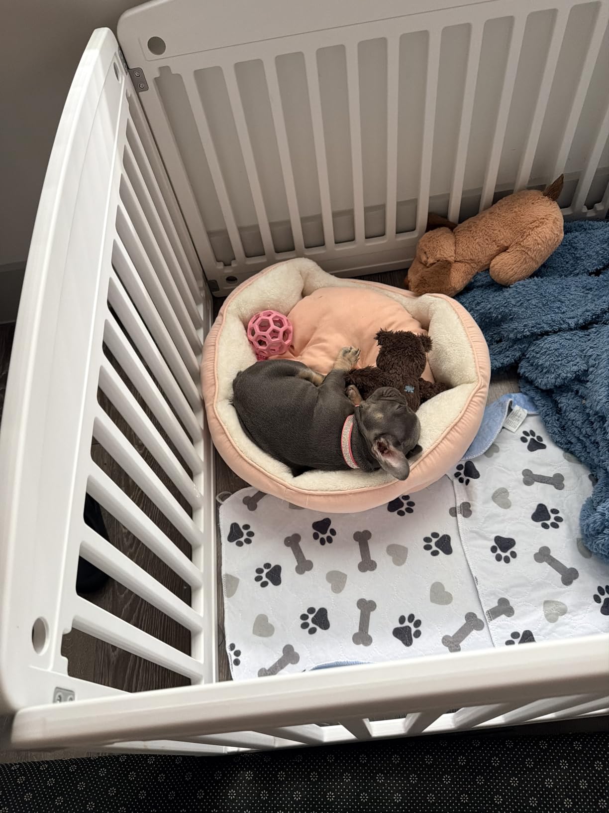 NEWBULIG Dog Playpen 6-Panel, 24IN Puppy Playpen, Stable Dog Play Pen Indoors/Outdoor with Secure Locking Door, Plastic Pet Fence for Small & Medium Dogs customer photo 2