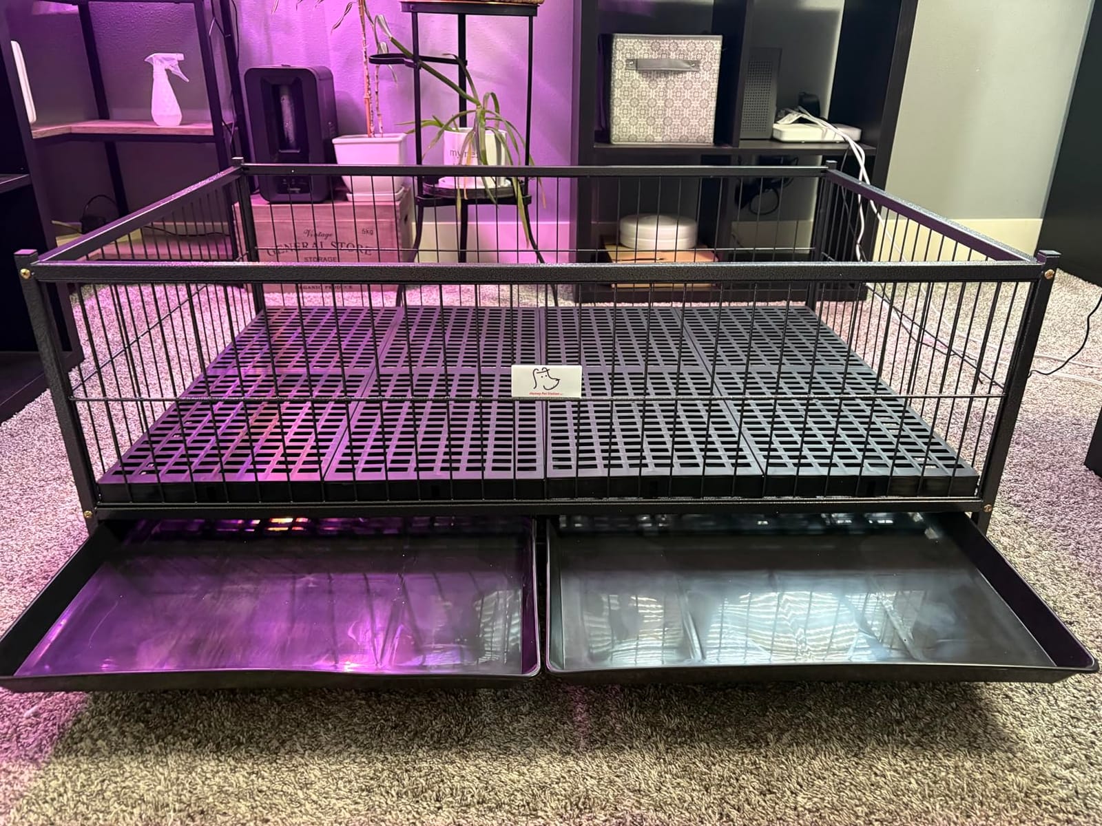 Whelping Box for Dogs and Puppies, 43 Inch Puppy Crate Cage Kennel, Taller Heavy Duty Dog Whelping Box Puppy Playpen with Front Door, Top Open, 4 Wheels, Removable Trays & Floor Grids 15.5''H*26.5''W customer photo 2