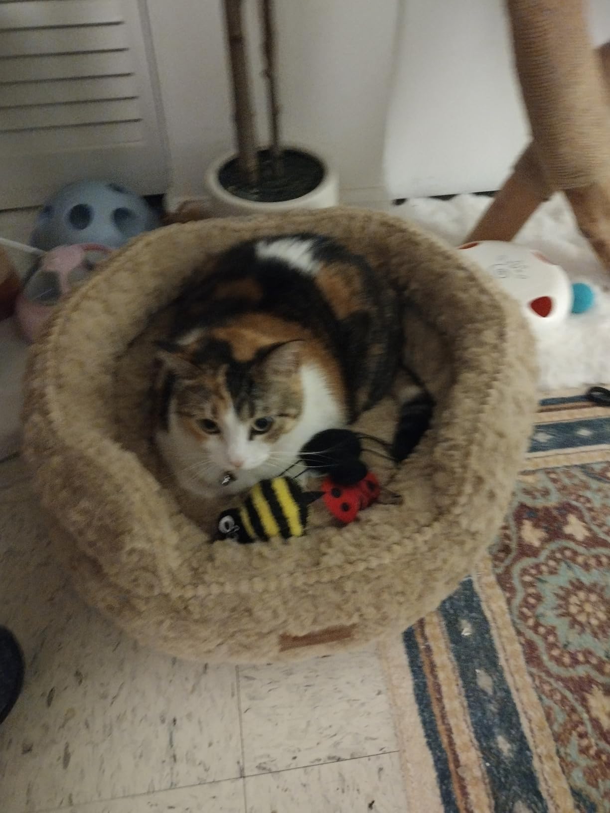 FUKUMARU Cat Bed for Indoor Cats, Small Dog Bed Washable, Round Kitten Bed customer photo 1