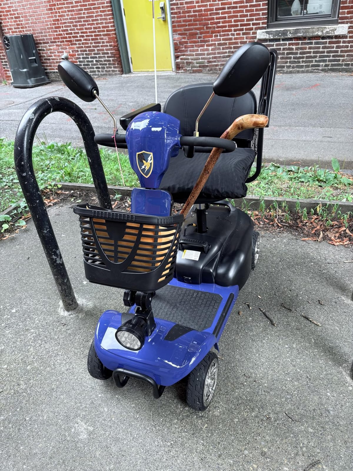 Heavy Duty All-Terrain Mobility Scooters for Adults & Seniors, 1000W Motor, 550LBS Capacity, 32 Miles Long Range & 9MPH, FDA Cleared, 13