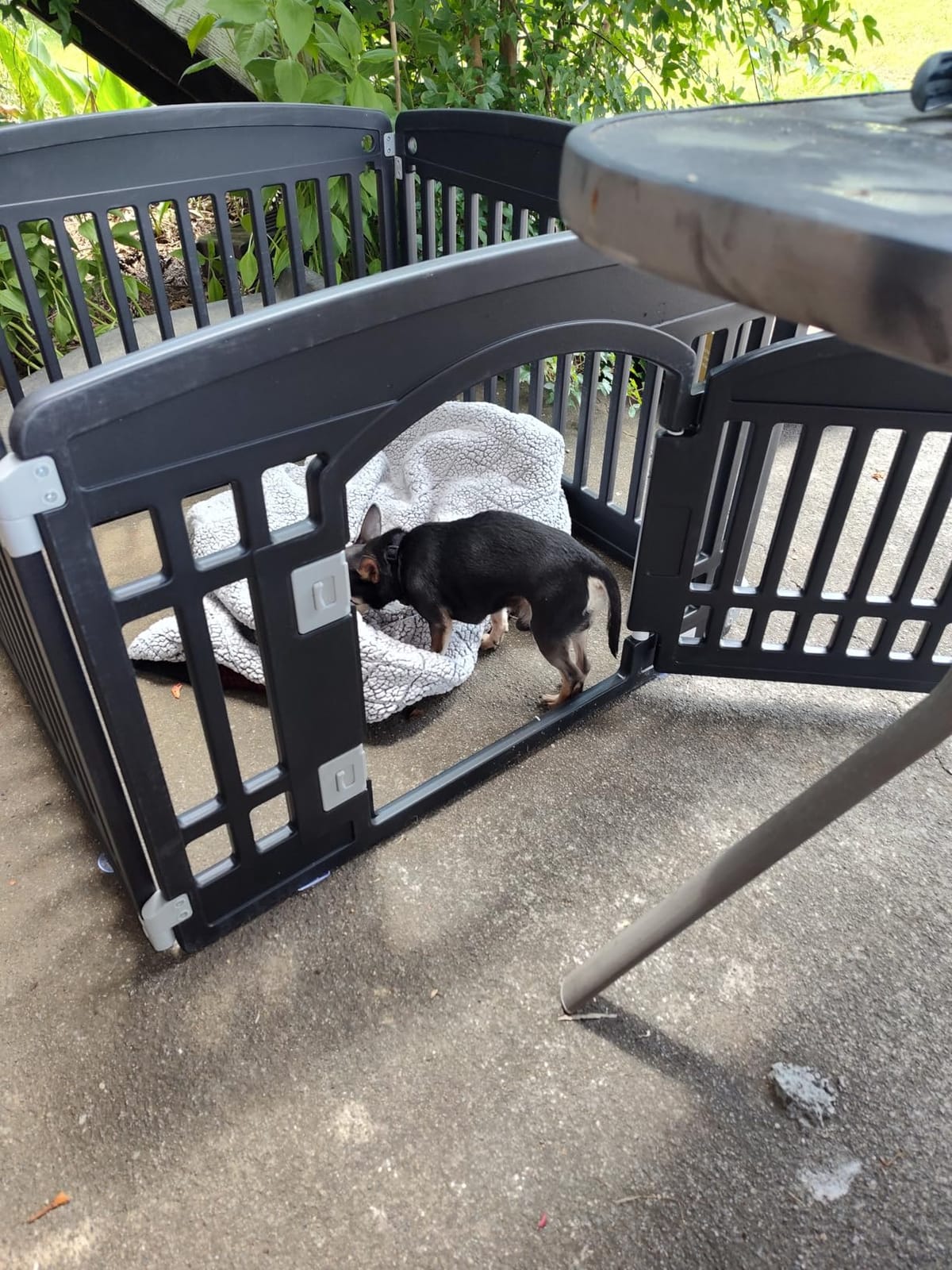 DUMOS Plastic Dog Playpen, 24 Inch 4 Panels Small Pet Fence Play Pen customer photo 2