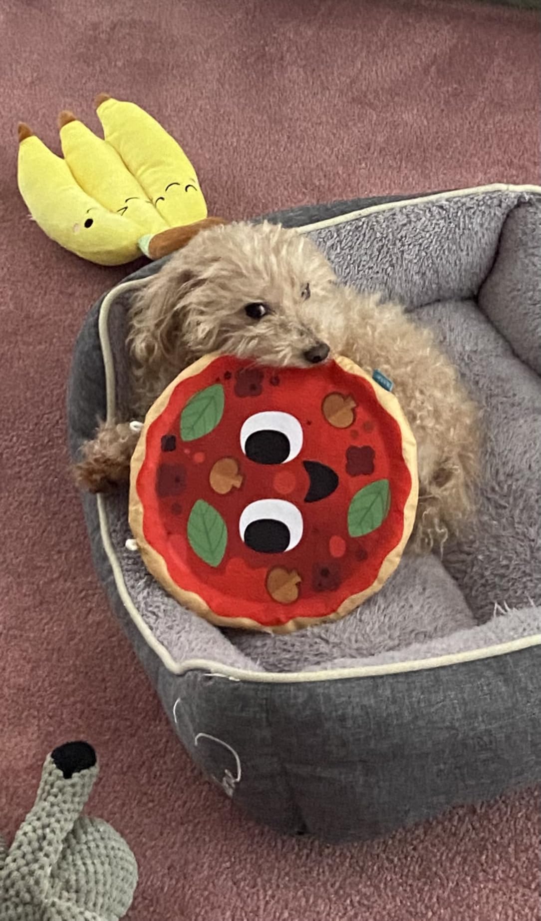 BarkBox Fetch N' Win Wheel Dog Toy - for Dogs customer photo 1