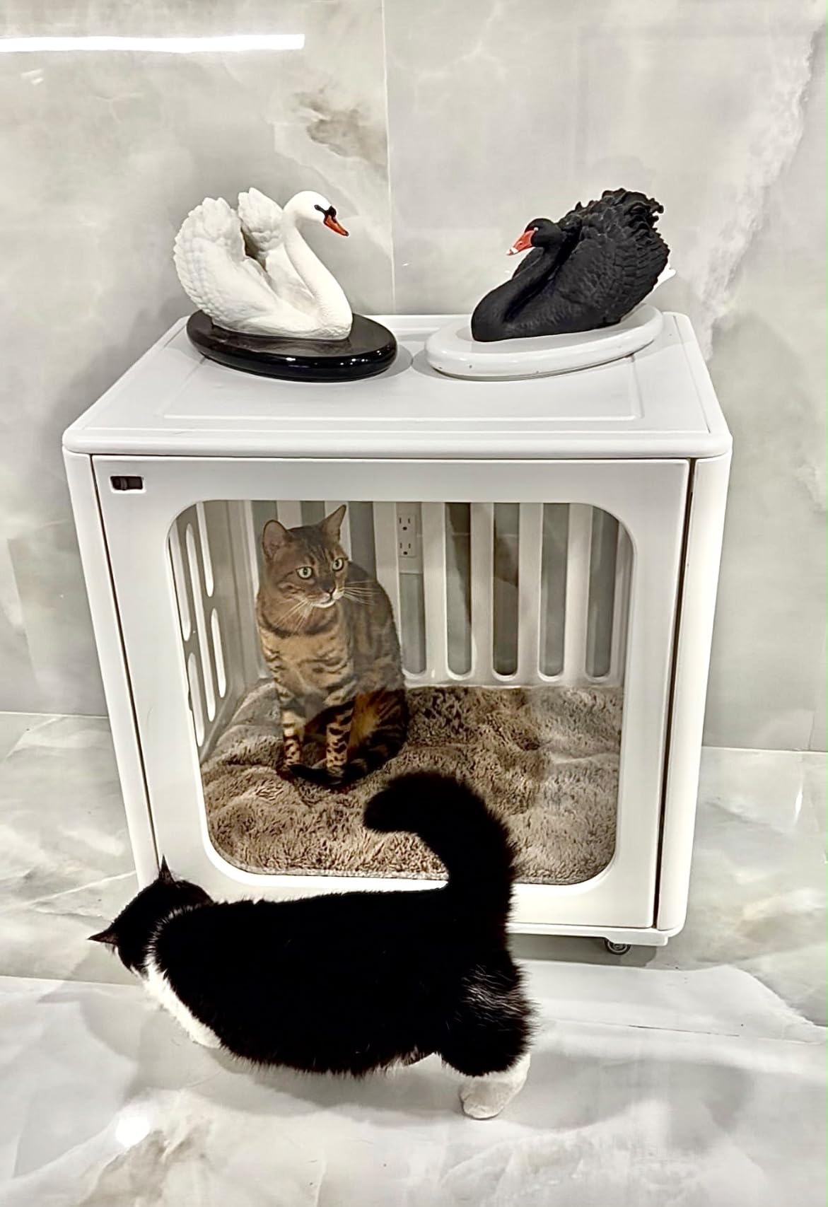 HDPE Pet Crate with Lockable Swivel Wheels, Ventilated Clear View Small Animal Cage Easy Clean Indoor Kennel for Puppy Rabbit Cat customer photo 1