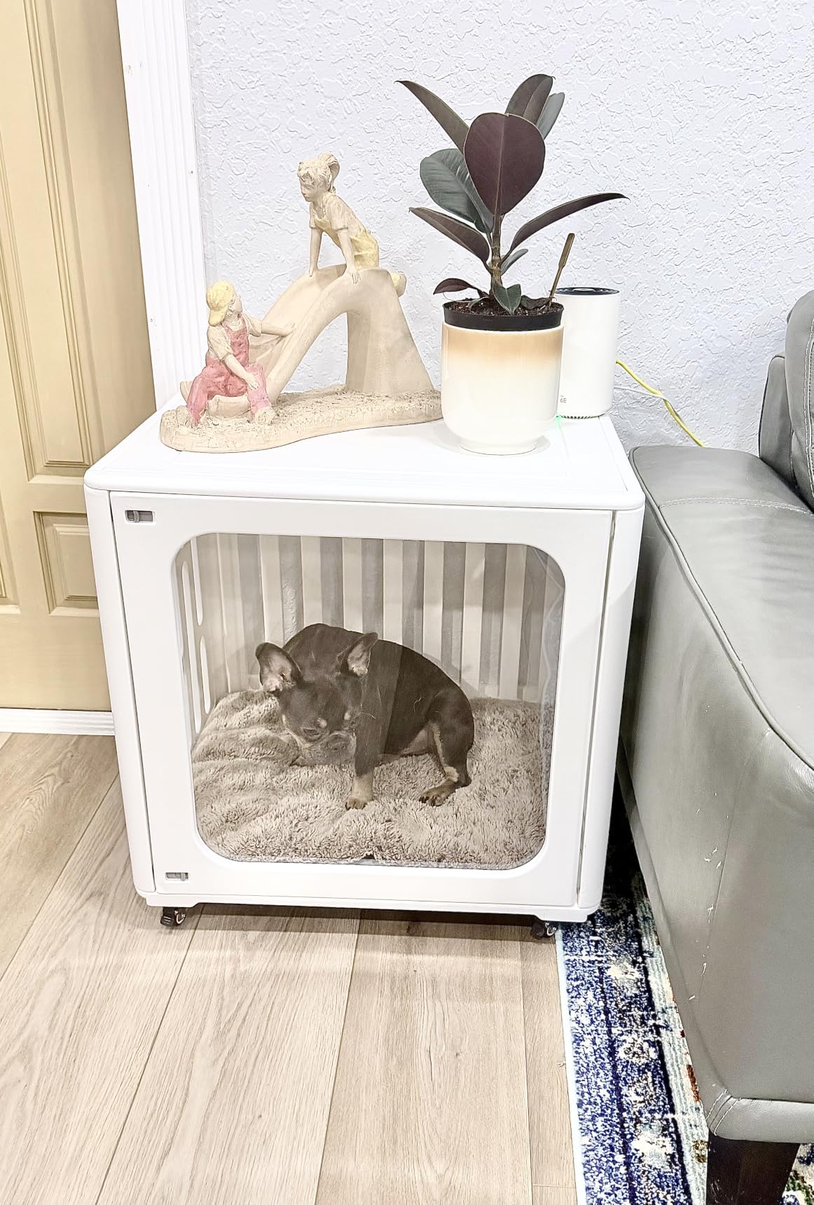 HDPE Pet Crate with Lockable Swivel Wheels, Ventilated Clear View Small Animal Cage Easy Clean Indoor Kennel for Puppy Rabbit Cat customer photo 2