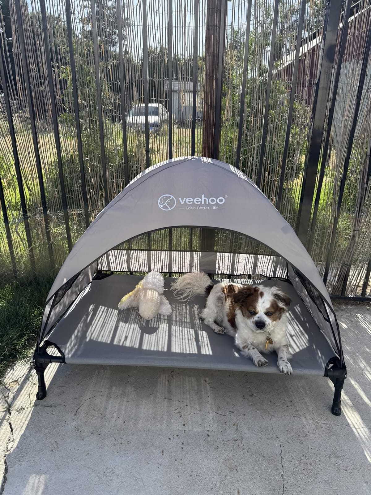 Veehoo Outdoor Dog Bed with Canopy, Cooling Elevated Dog Shade for Outside customer photo 1