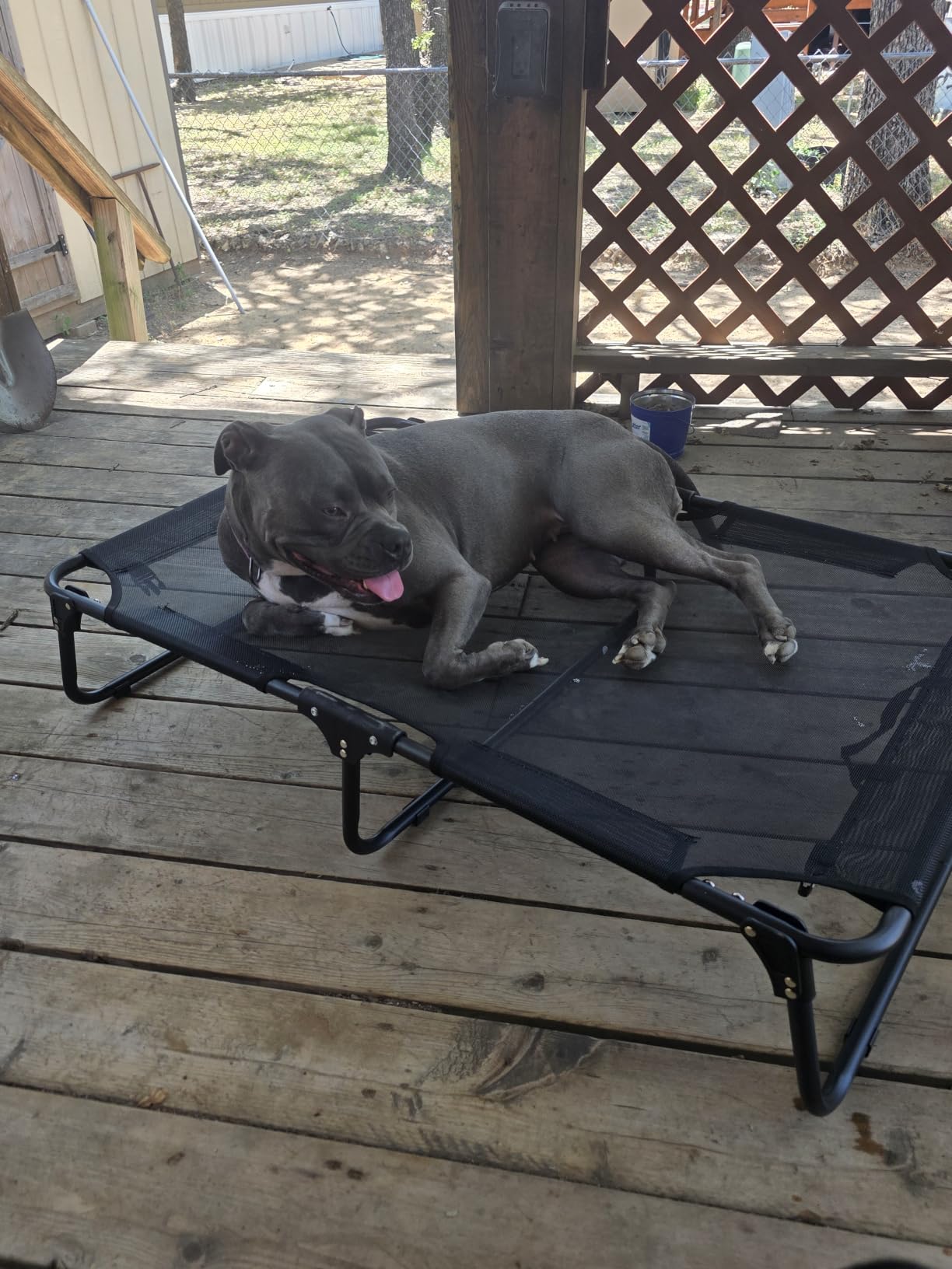 Foldable Outdoor Elevated Dog Cot Bed with Handle customer photo 2