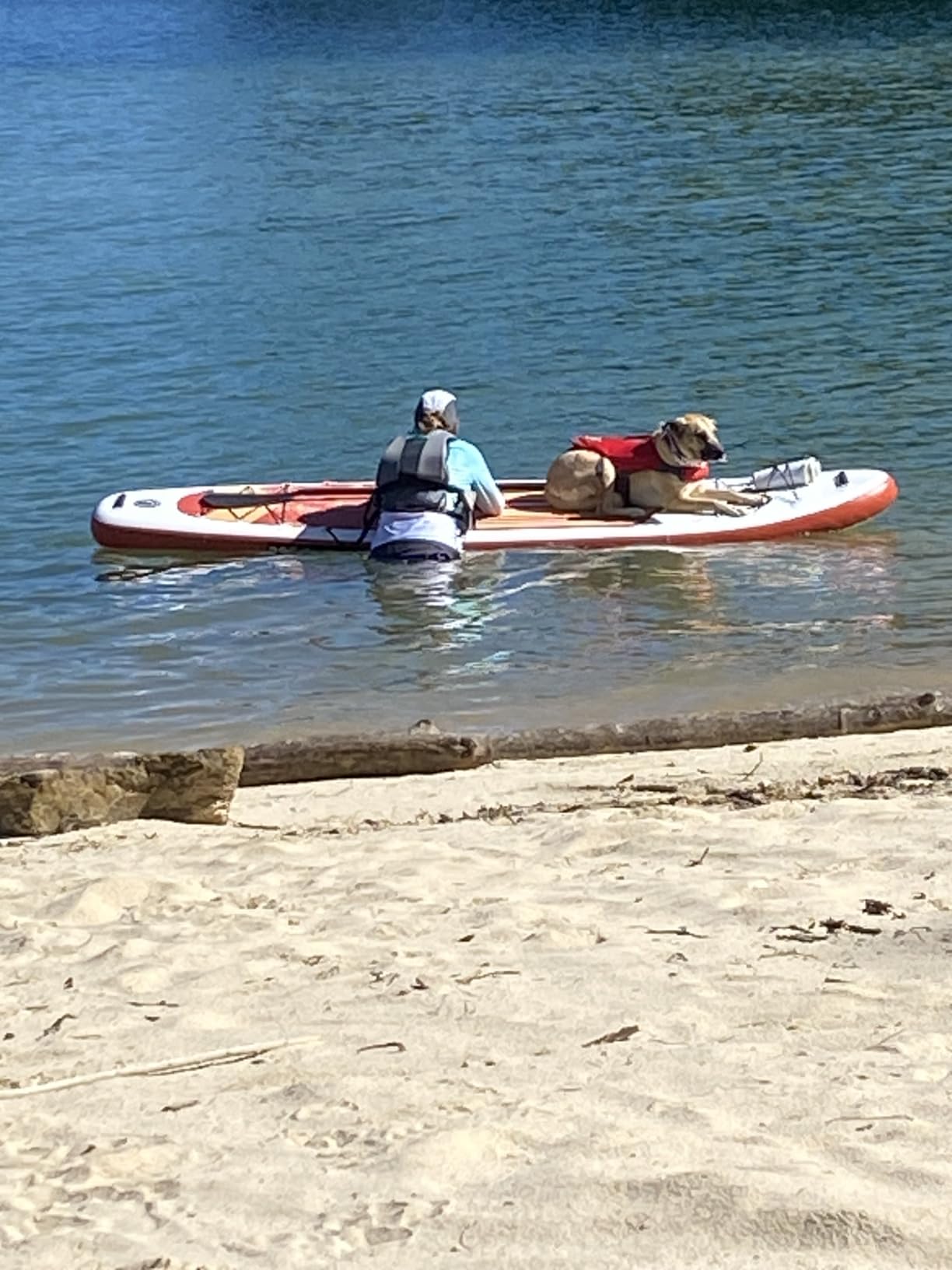Roc Inflatable Stand Up Paddle Board 10' 6