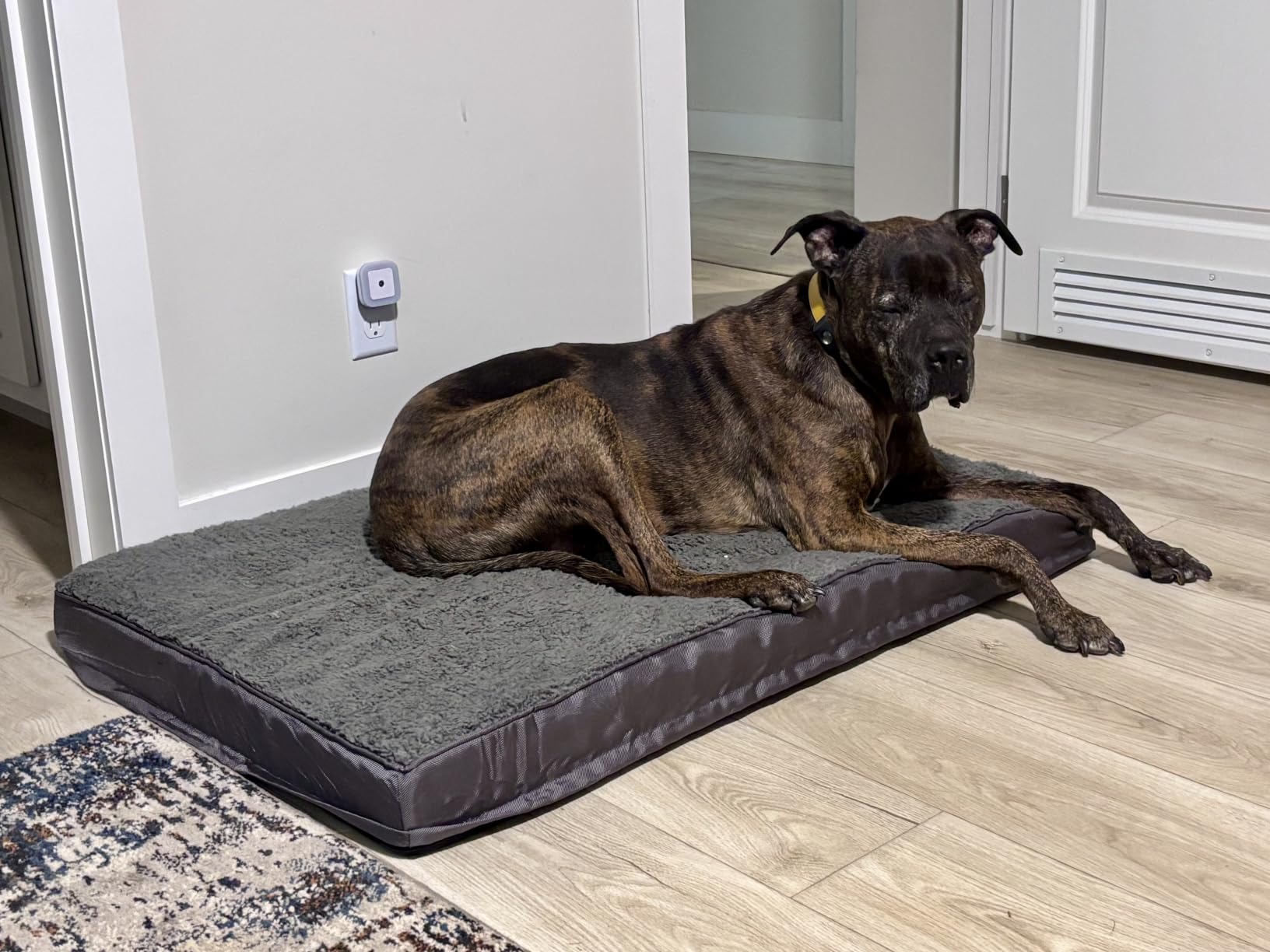 EHEYCIGA Orthopedic Dog Bed Large with Removable Washable Cover, 36IN Grey customer photo 1