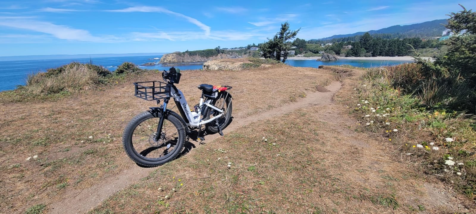 ESKUTE Electric Bike for Adults - 48V20.8Ah 86 Miles Battery Commuter, 32+MPH, Peak 1800W Brushless Motor, 26x4.0 Fat Tire Step-Thru Cityrun Ebike, 8-Speed, Full Suspensions E-Bike customer photo 2