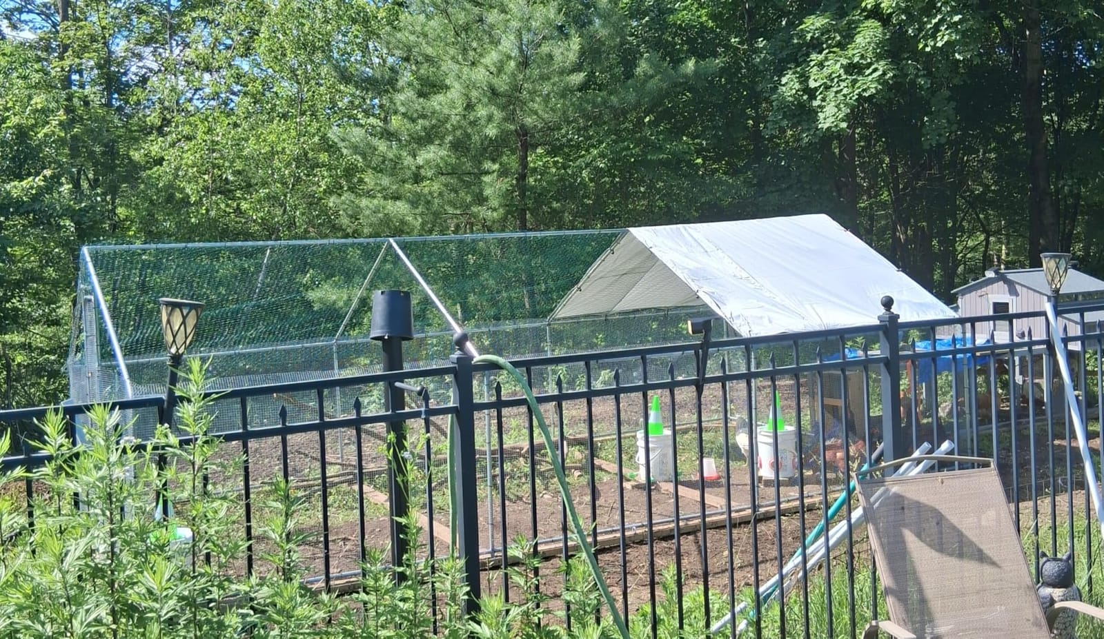 9.9x5 FT Large Metal Chicken Coop, Walk-in Poultry Run Pen customer photo 1