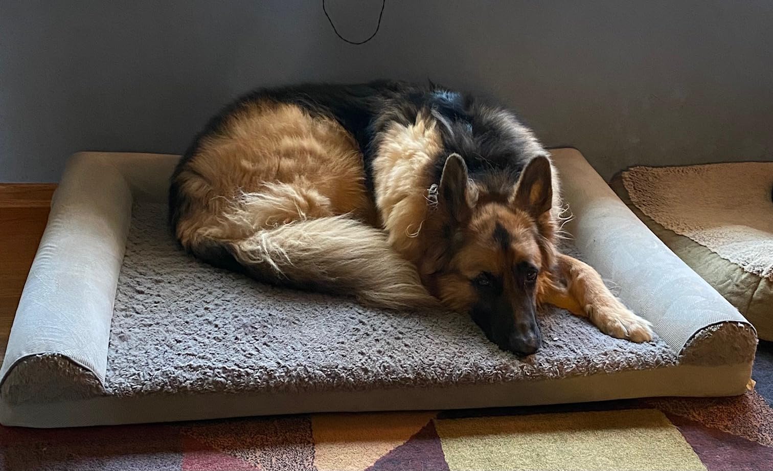 JOEJOY Chew Proof Indestructible Dog Bed for Medium Large Dogs, Heavy Duty Waterproof Canvas Dog Crate Pad with Hidden Zipper & Removable Washable Cover, Brown, 47