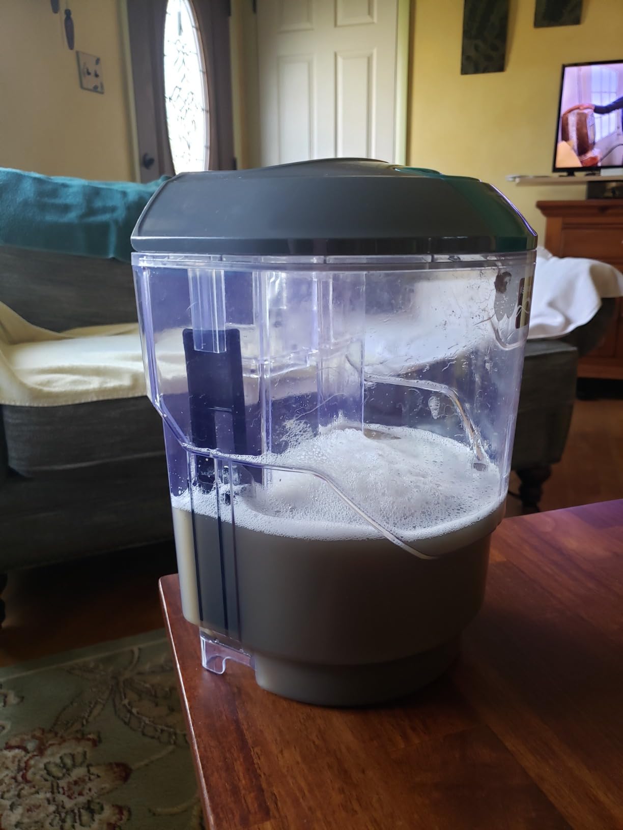 Kenmore SpotLite Go Pet Portable Carpet & Upholstery Spot Cleaner Machine customer photo 2