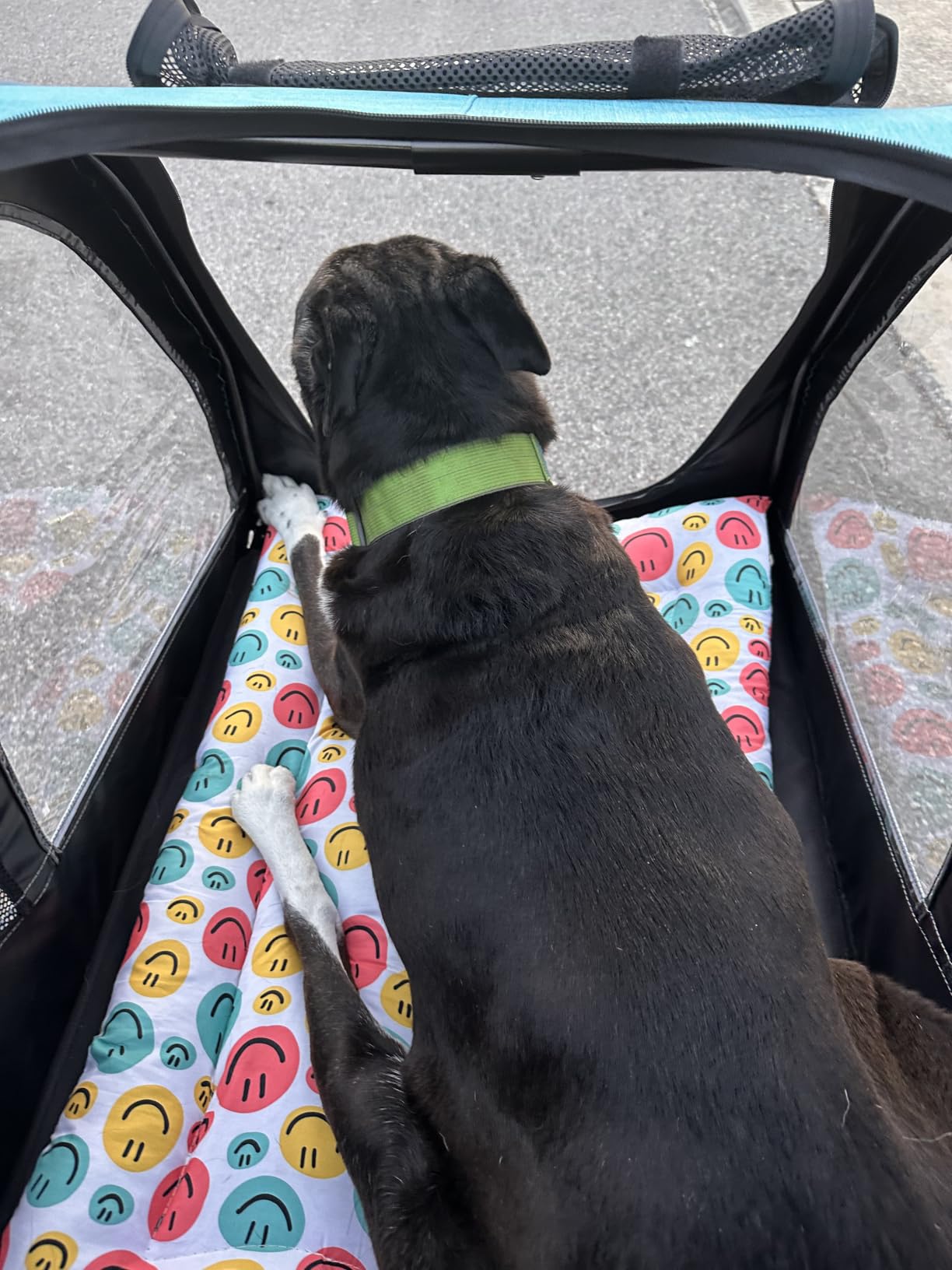 Saudism Dog Stroller for Large & Medium Dogs (up to 160lbs), Pet Stroller for 2 Small Dogs, Extra Large Heavy Duty, Dog Wagon Foldable & Adjustable Handle with Pocket, Red customer photo 1