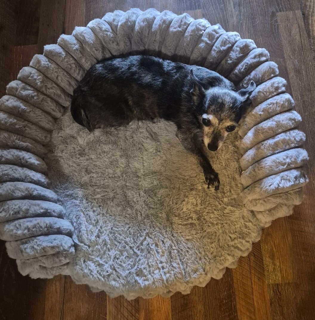 Luxury Donut Dog Bed, Fluffy Orthopedic Dog Couch Washable Round Pet Sofa customer photo 2