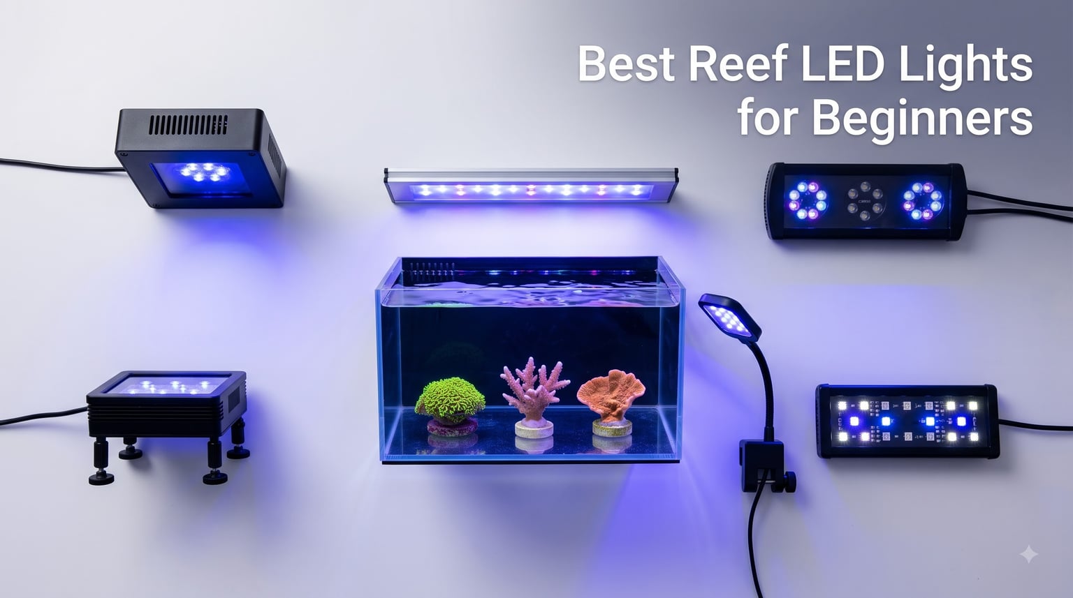 Best Reef LED Lights for Beginners