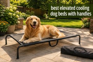 best elevated cooling dog beds with handles