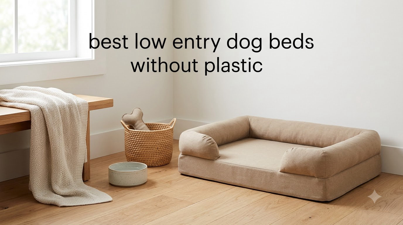 best low entry dog beds without plastic